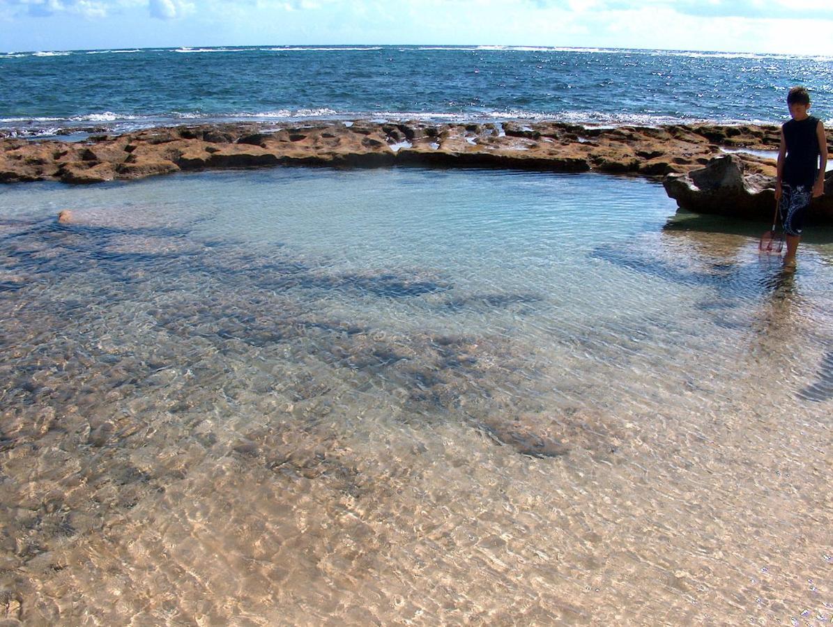 Itʻs All About The Beach Villa Hau'ula Exterior foto